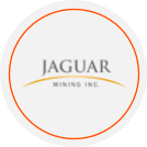 Jaguar Mining